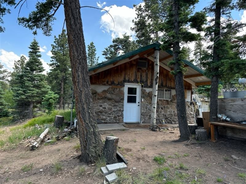 Joan's Cabin and Sawmill : Westcliffe : Custer County : Colorado
