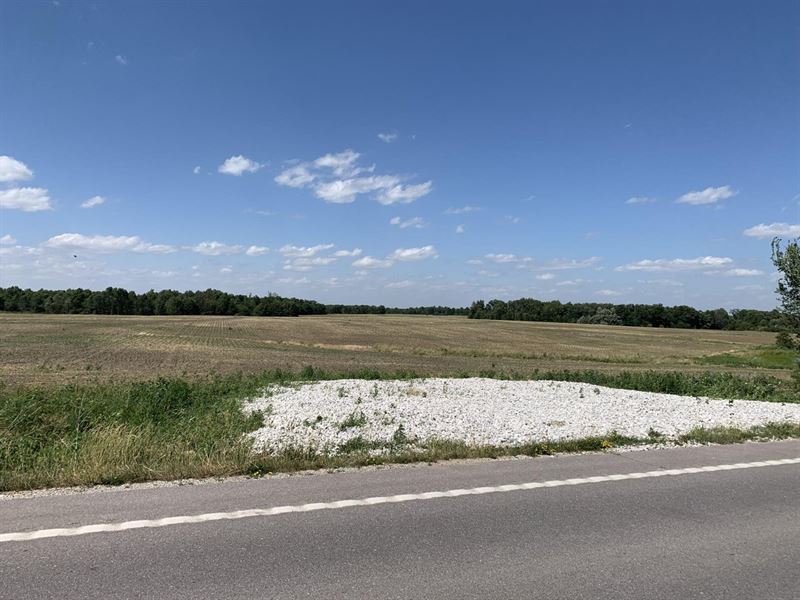 Moberly Whitetail Tract 16 : Madison : Monroe County : Missouri