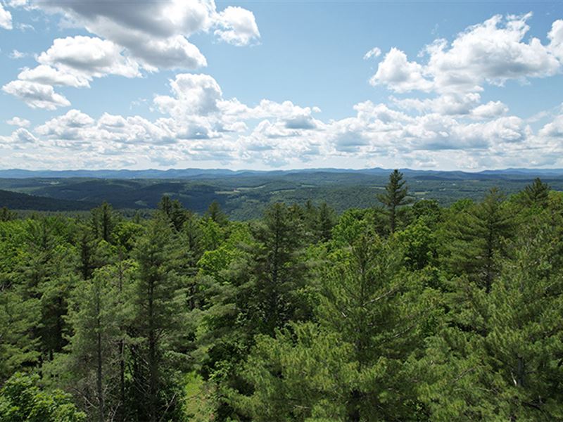 Lighthouse Hill Forest : Brookfield : Orange County : Vermont