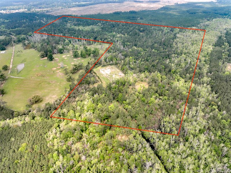 112 Acres, CR 2012 : Newton : Newton County : Texas