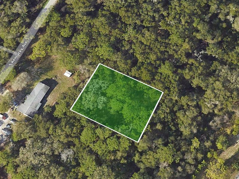 .45 Acre to Build in Orange City : Orange City : Volusia County : Florida