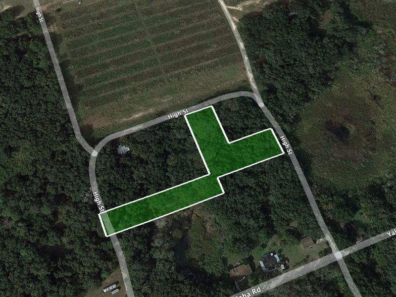 1.49 Acre Vacant Land in Yalaha, FL : Yalaha : Lake County : Florida