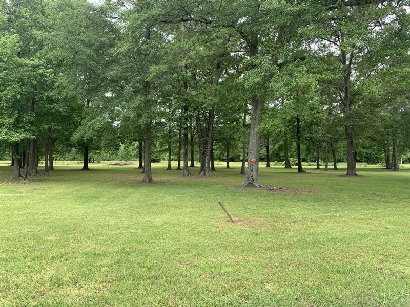 Tombigbee River Waterfront Lot 5 : Aberdeen : Monroe County : Mississippi