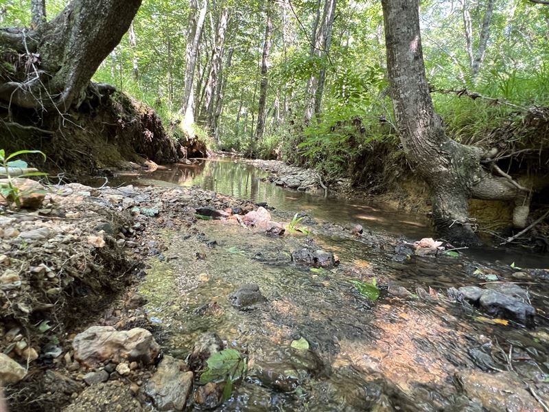 115 Ac, Clay Co : Goodwater : Clay County : Alabama