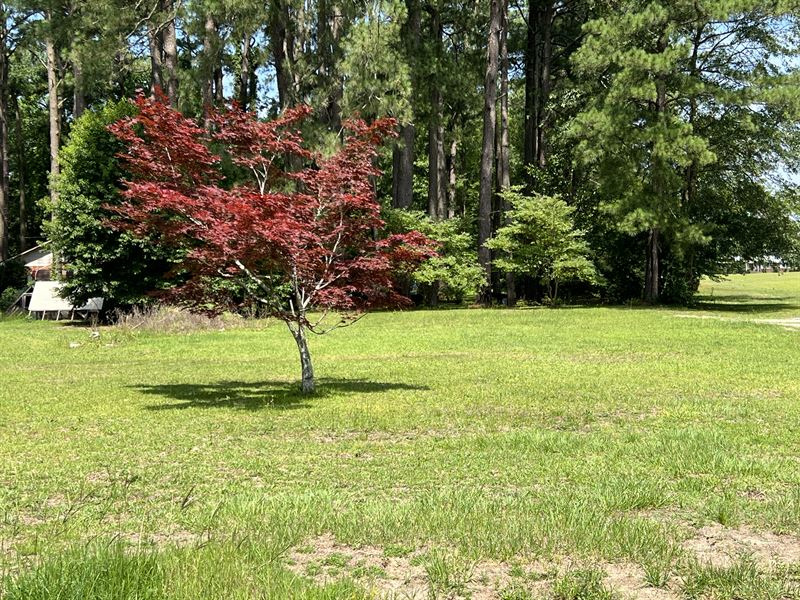 Residential Lot Bayview Subdivision : Bath : Beaufort County : North Carolina