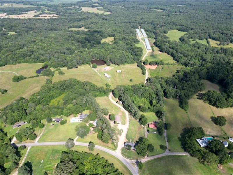 3 House Broiler Farm with Huge Home : Lexington : Oglethorpe County : Georgia
