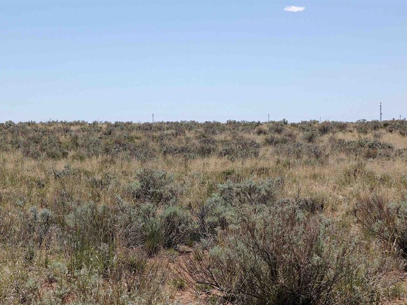 $500 Off Through Sep 30th : Holbrook : Apache County : Arizona