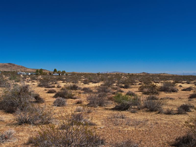An Unparalleled Living Experience : Yucca Valley : San Bernardino County : California
