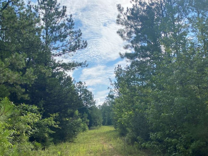 Burbage East : Farmersville : Lowndes County : Alabama
