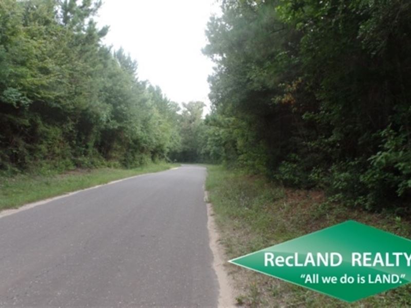 38.65 Ac, Timberland for Home Site : Jasper : Jasper County : Texas