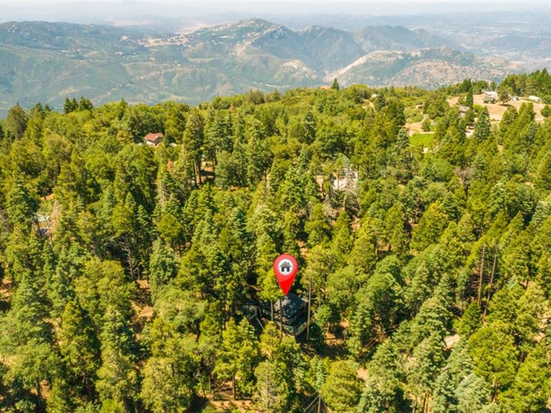 Birch Hill Haven : Palomar Mountain : San Diego County : California