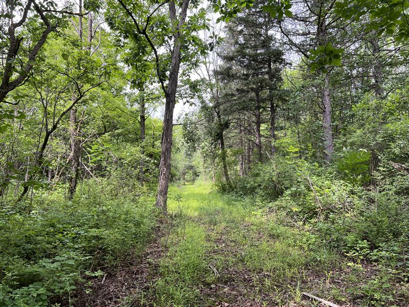 Gently Rolling Topo with Woods : Manlius : Onondaga County : New York