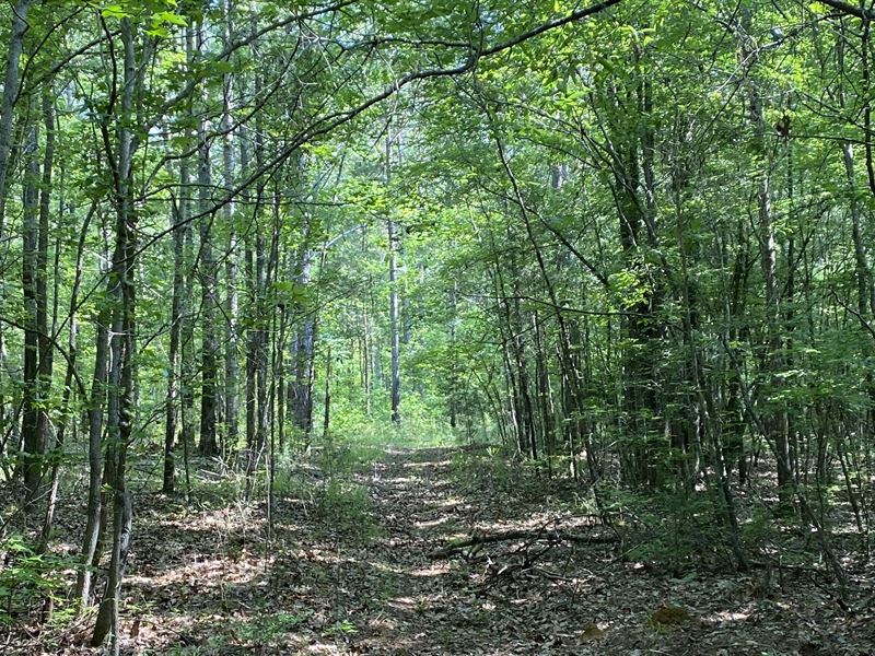 Burbage West : Farmersville : Lowndes County : Alabama