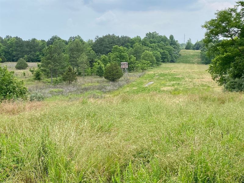 Superb Hunting & New Survey : Bremen : Muhlenberg County : Kentucky