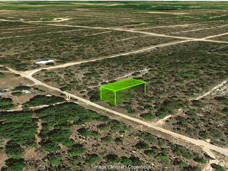 Remote and Outside Flood Zone : Hawthorne : Putnam County : Florida