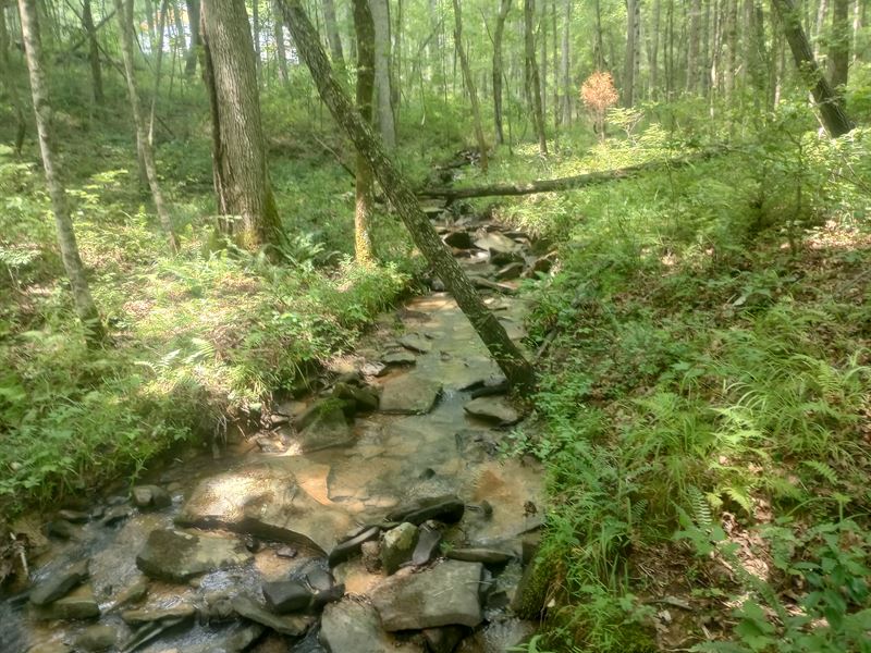 Level, Paved Rd Frontage, Creek : Pikeville : Van Buren County : Tennessee