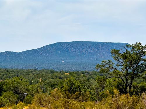 1 of 2 Gone, Buy Now- Pay 2026 : Seligman : Yavapai County : Arizona