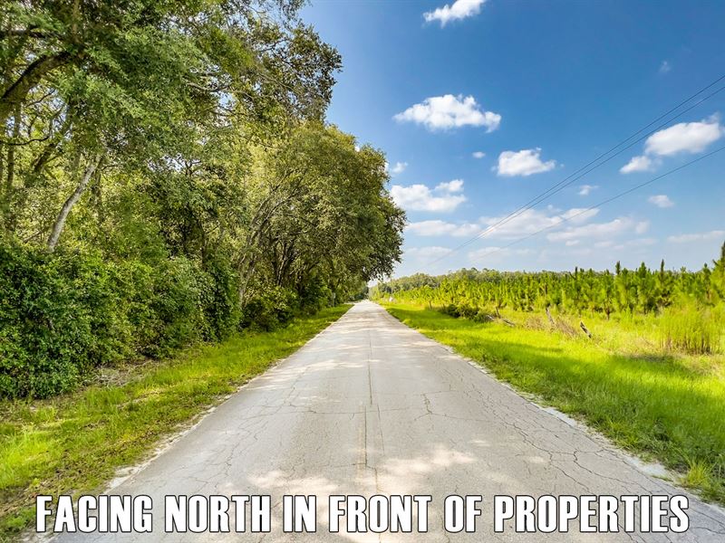 2 Acres, Owner Finance & Paved Road : O'brien : Flagler County : Florida