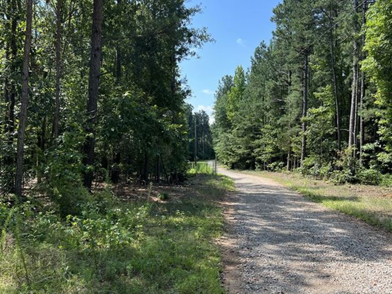 Estate Lot on Brush Creek : Hull : Madison County : Georgia