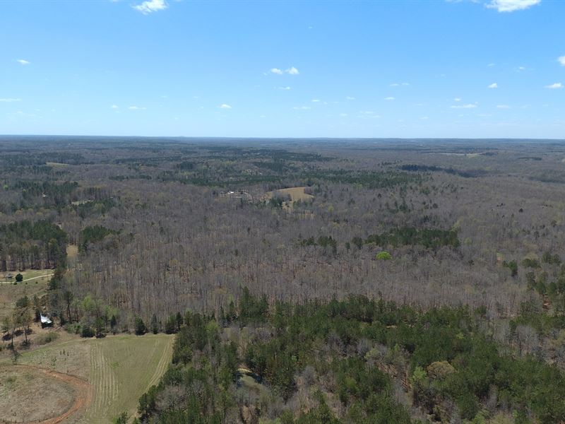 Unrestricted TN Land, Hunting, Pond : Pocahontas : Hardeman County : Tennessee