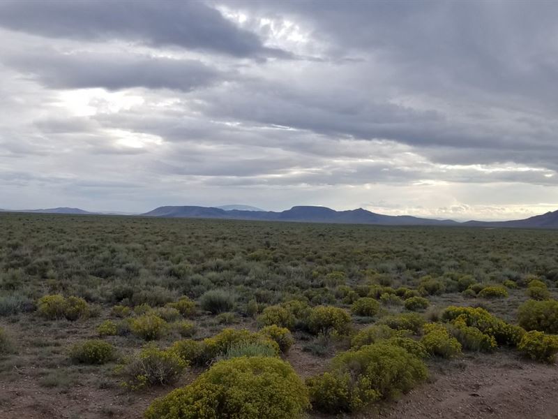5.07 Ac Near Rio Grande : Sanford : Costilla County : Colorado