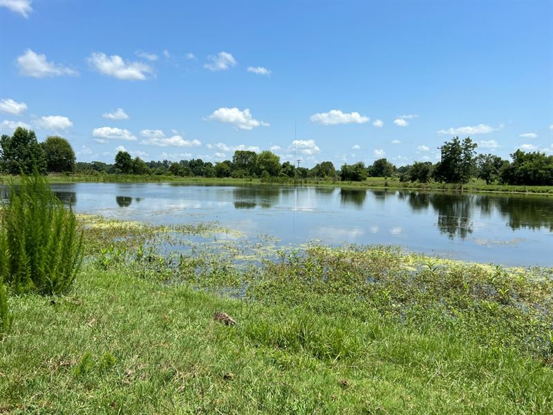 La, Franklin 52 Acres : Wisner : Franklin Parish : Louisiana