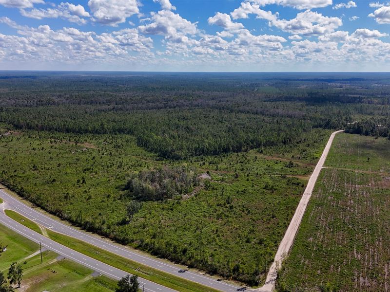 Williams Central Tract 4 : Du Pont : Clinch County : Georgia