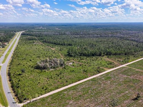 Williams Central Tract 4 : Du Pont : Clinch County : Georgia