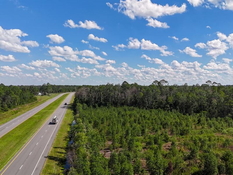 Williams Central Tract 2 : Du Pont : Clinch County : Georgia