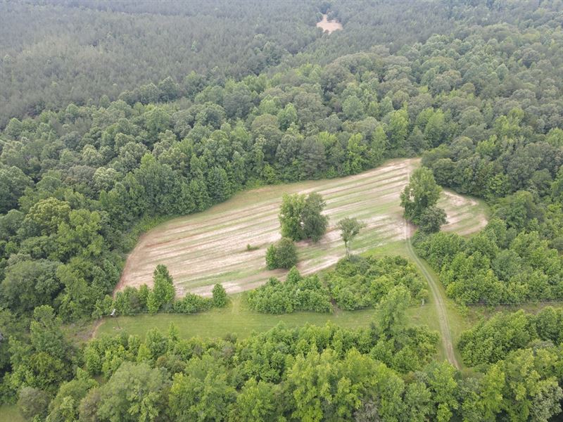 550.8 Acres in Yalobusha County, MS : Coffeeville : Yalobusha County : Mississippi