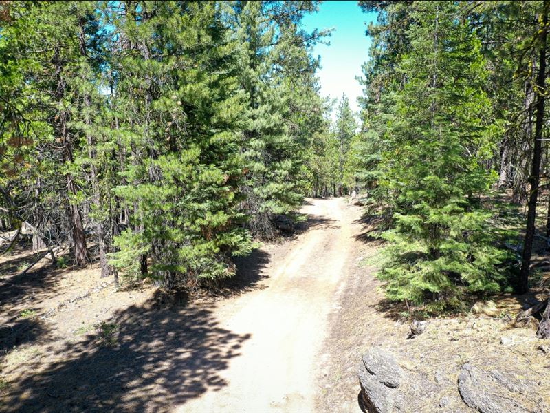 Hike, Bike, or Horseback Ride : Bonanza : Klamath County : Oregon
