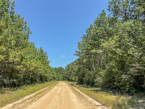 29 Acres, T-9 Saron : Zavalla : Angelina County : Texas
