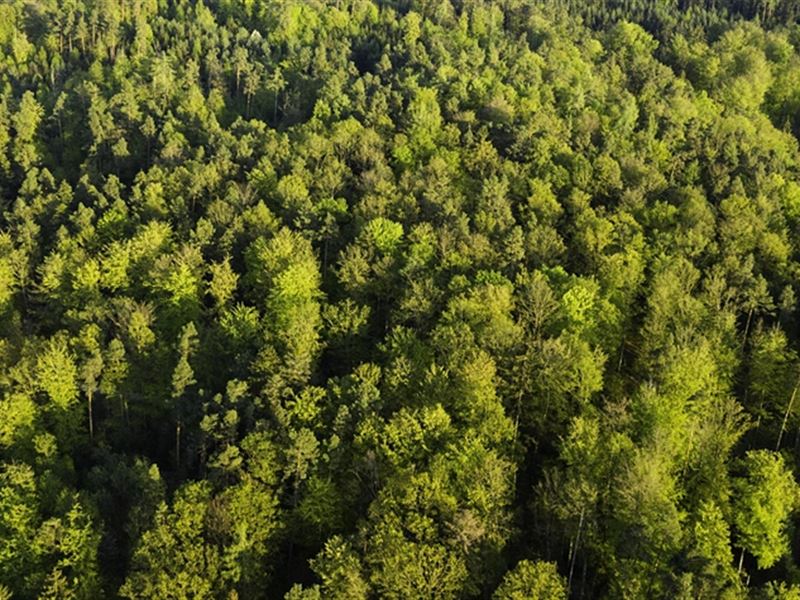 44K Sqft in Jim Thorpe, PA : Jim Thorpe : Carbon County : Pennsylvania