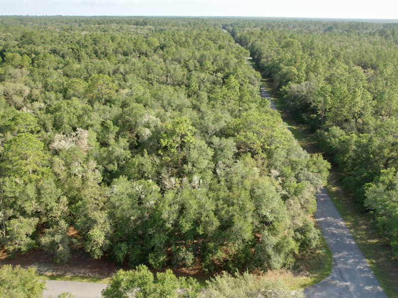 1819 E Utah Lane, Citrus Springs : Citrus Springs : Citrus County : Florida