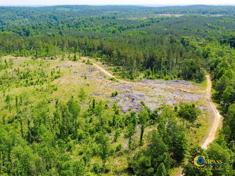 Erin Tract West Parcel : Erin : Houston County : Tennessee