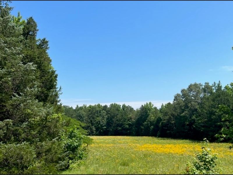 8.6 Acres in Oktibbeha County in St : Starkville : Oktibbeha County : Mississippi