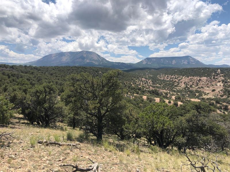 9 Cl&G Cc-1, Gardner, Co 81040 : Gardner : Huerfano County : Colorado
