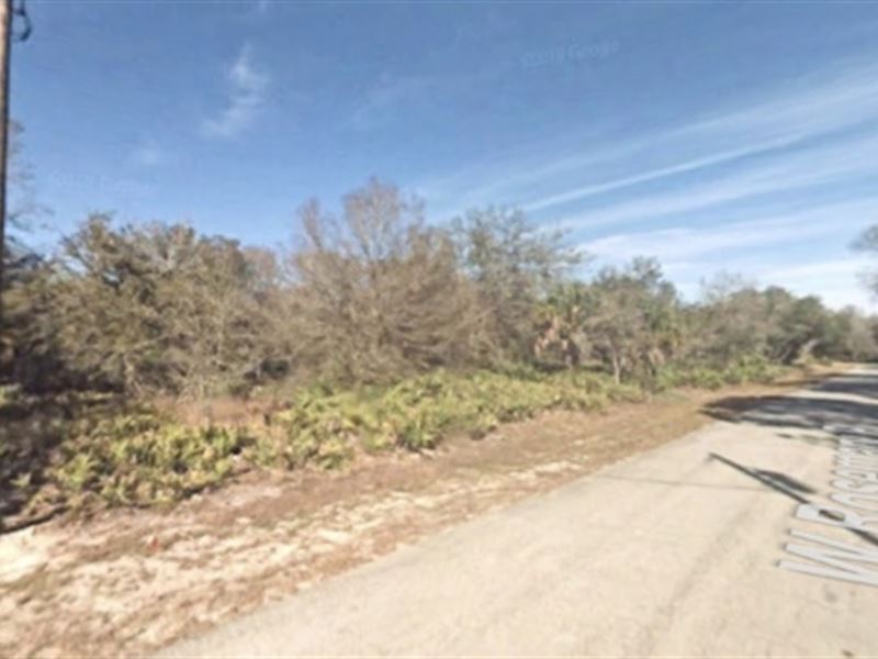 Citrus County Surprise for You : Crystal River : Putnam County : Florida
