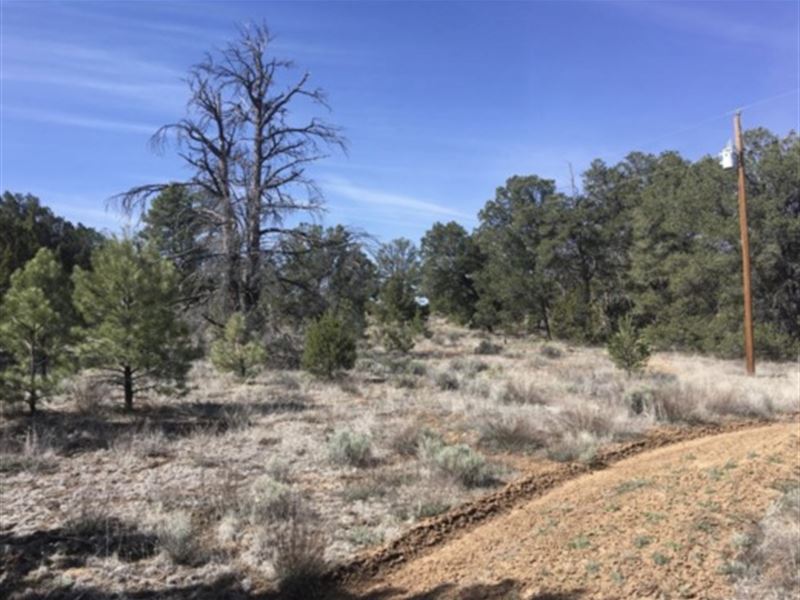 Calling All Dreamers & Adventurers : Ramah : Cibola County : New Mexico