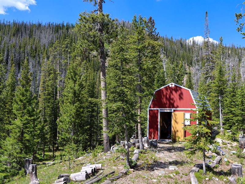 30 Gray Jay Trail : Elk Mountain : Carbon County : Wyoming