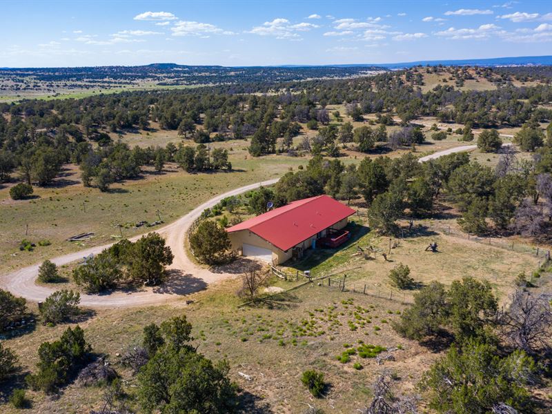 Tinaja Ranch : Pinehill : Cibola County : New Mexico