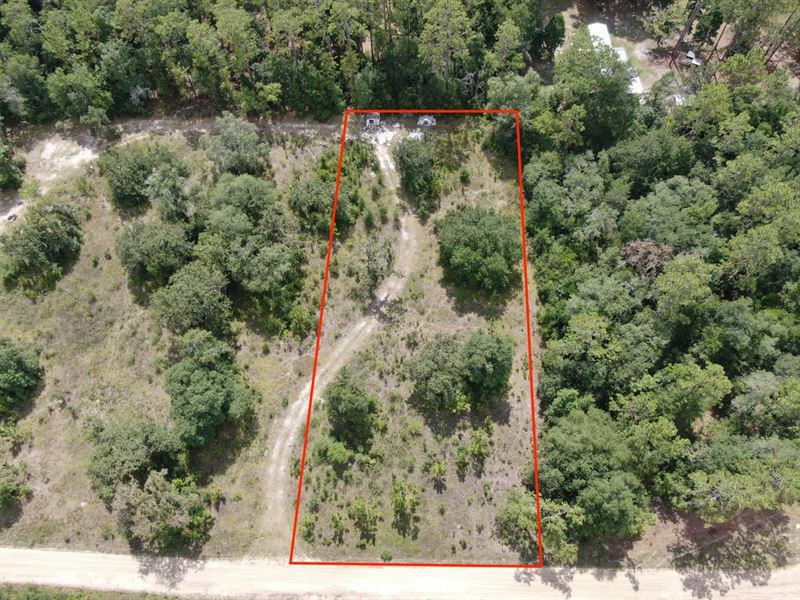 Awesome Cleared One Acre Lot Near : Lee : Madison County : Florida