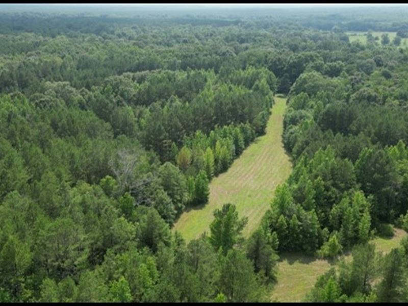 223 Acres in Holmes County in Goodm : Pickens : Holmes County : Mississippi