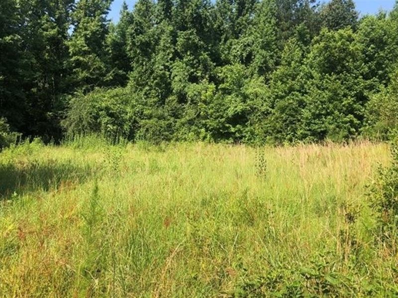 135.17 Acres in Holmes County in Go : Goodman : Holmes County : Mississippi