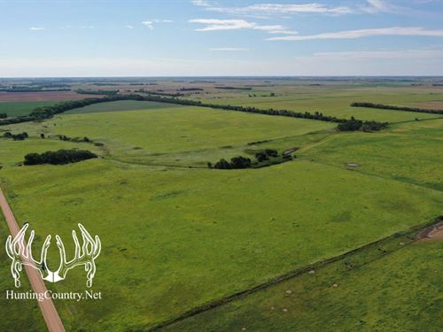 235 Acres M/L Pratt County, Kansas : Preston : Pratt County : Kansas