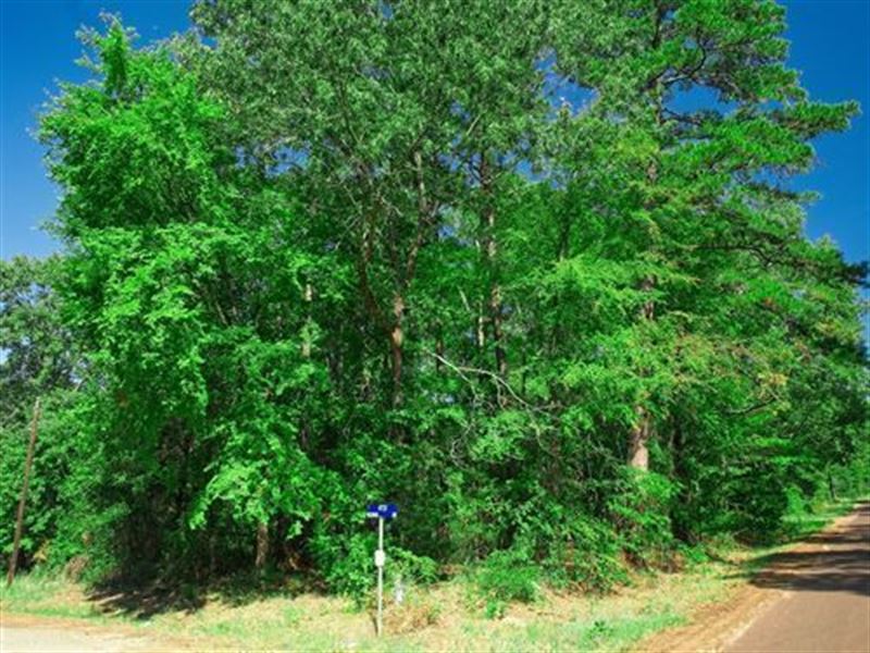 $123/Mo Corner Lot, No Zoning : Harleton : Harrison County : Texas