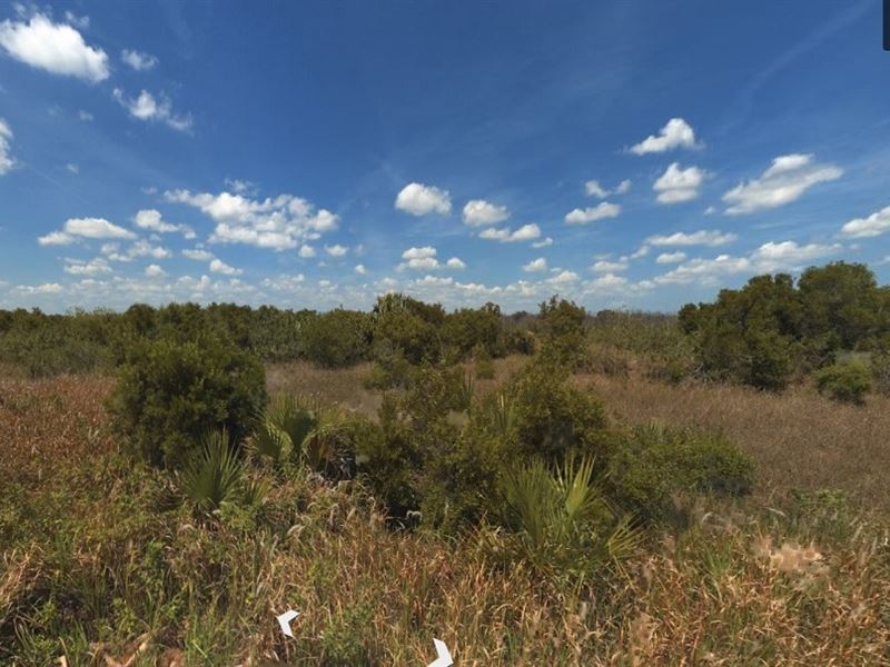 Homesite in Beautiful Palm Bay : Palm Bay : Brevard County : Florida