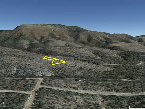 Lincoln National Forest : Timberon : Otero County : New Mexico