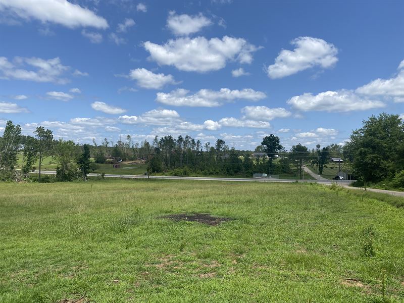 Land for Sale IN Tn, Driveway : Adamsville : McNairy County : Tennessee