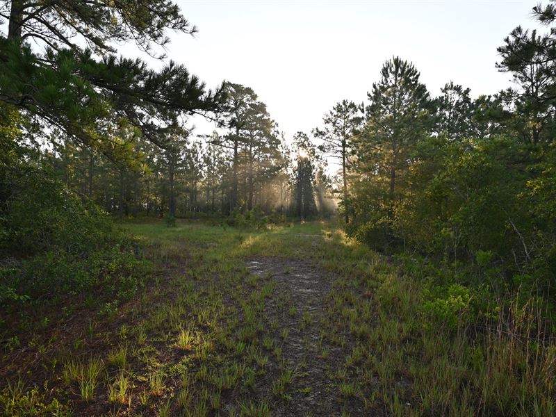 The Garland Tract, 105 Acres : Fayetteville : Cumberland County : North Carolina